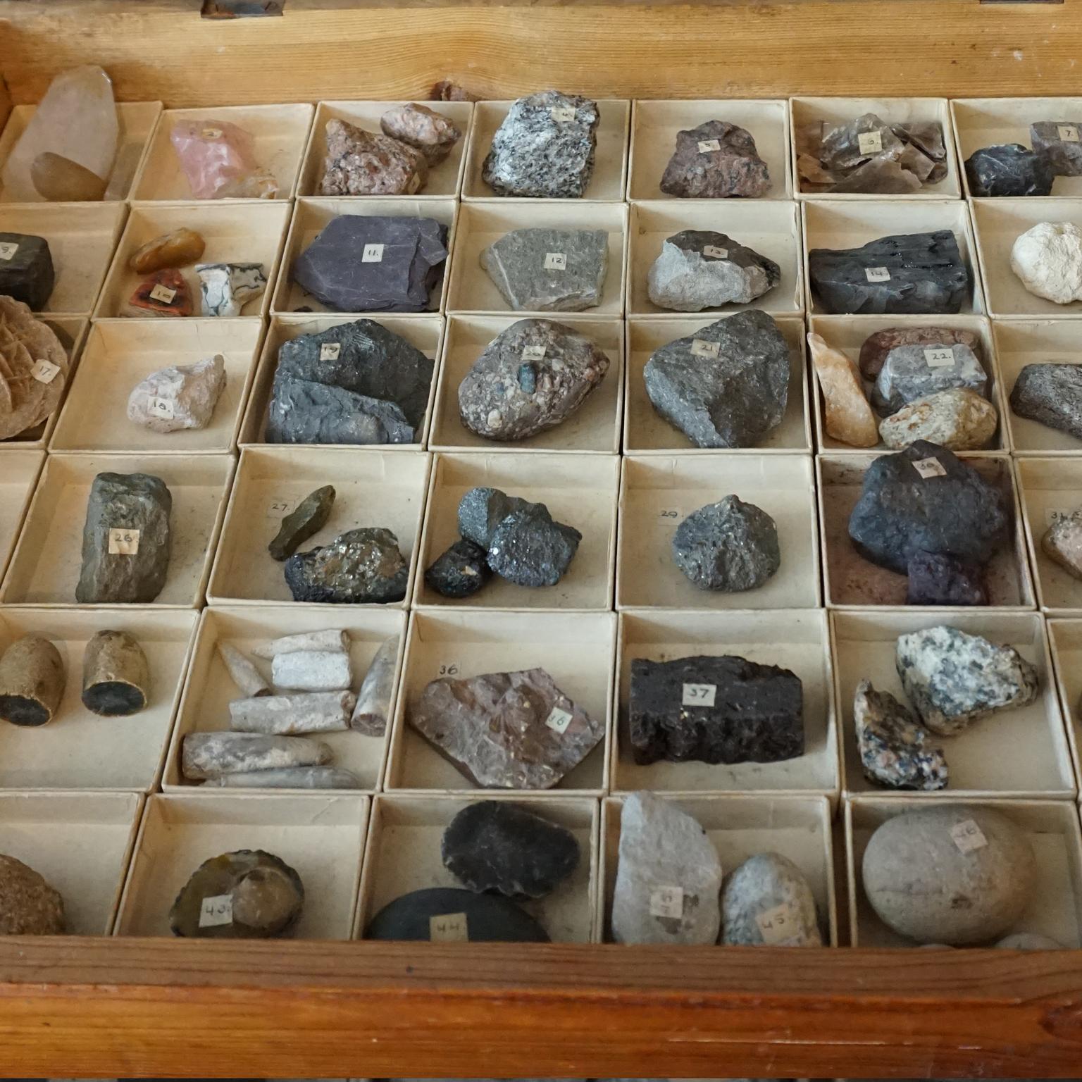 Dutch 1920s Large Study Case with Collection of 48 Minerals and Rocks Specimens 7