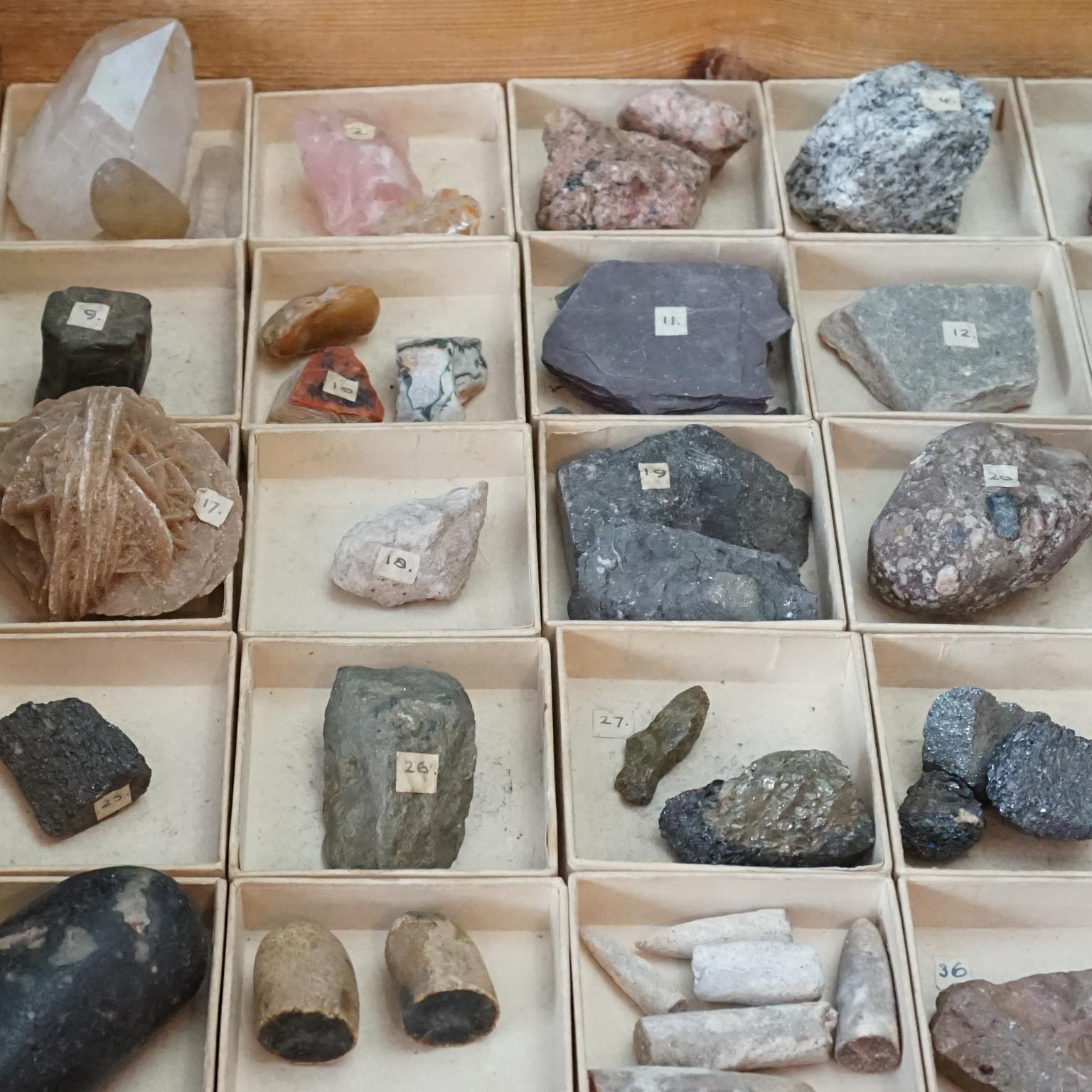 Dutch 1920s Large Study Case with Collection of 48 Minerals and Rocks Specimens 9