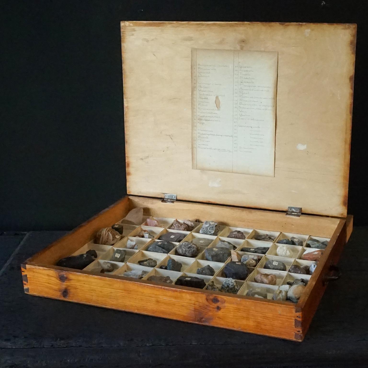 Dutch 1920s Large Study Case with Collection of 48 Minerals and Rocks Specimens 1