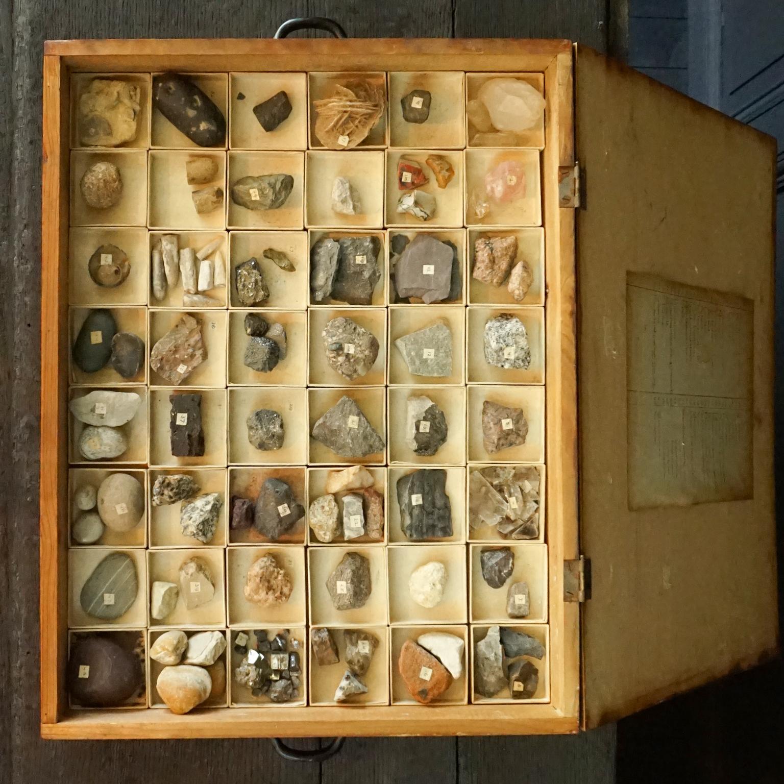 Dutch 1920s Large Study Case with Collection of 48 Minerals and Rocks Specimens 3