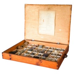 Antique Dutch 1920s Large Study Case with Collection of 48 Minerals and Rocks Specimens