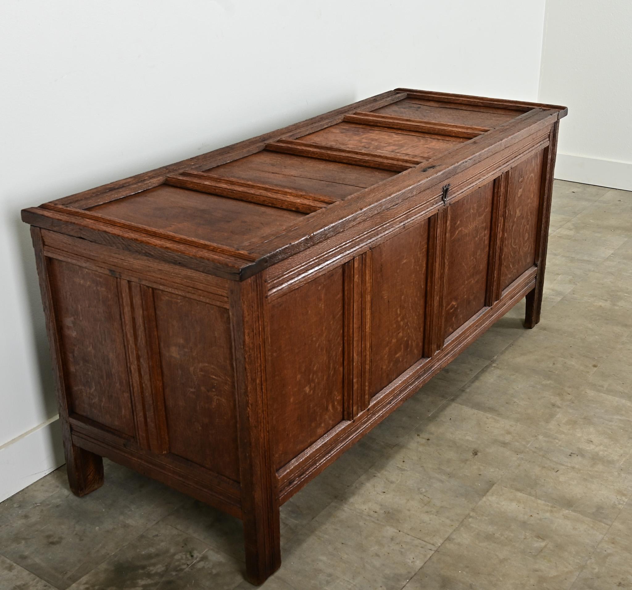 Hand-Carved Dutch 19th Century Oak Paneled Coffer For Sale
