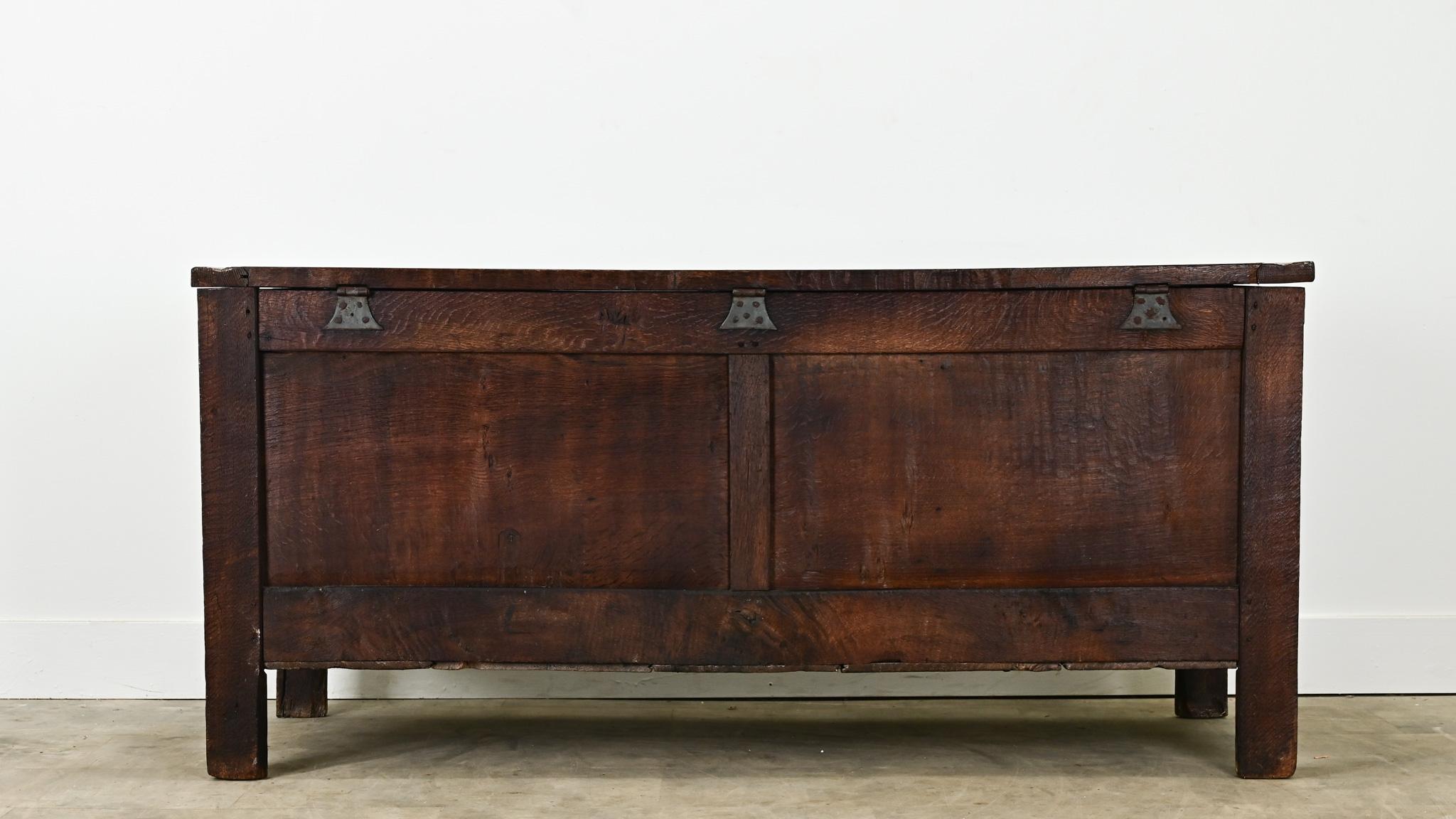 Dutch 19th Century Oak Paneled Coffer For Sale 3