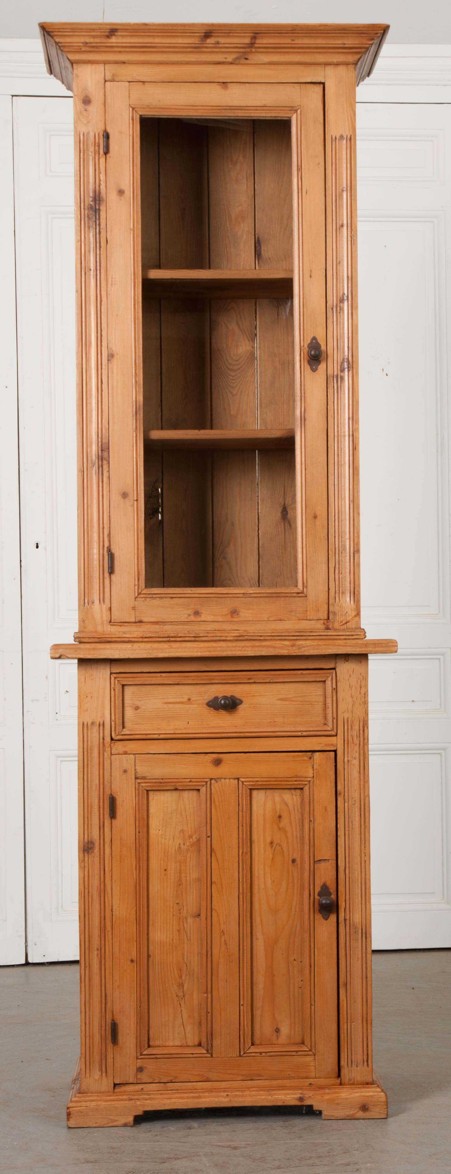 Hand-Carved Dutch 19th Century Pine Cabinet or Bookcase