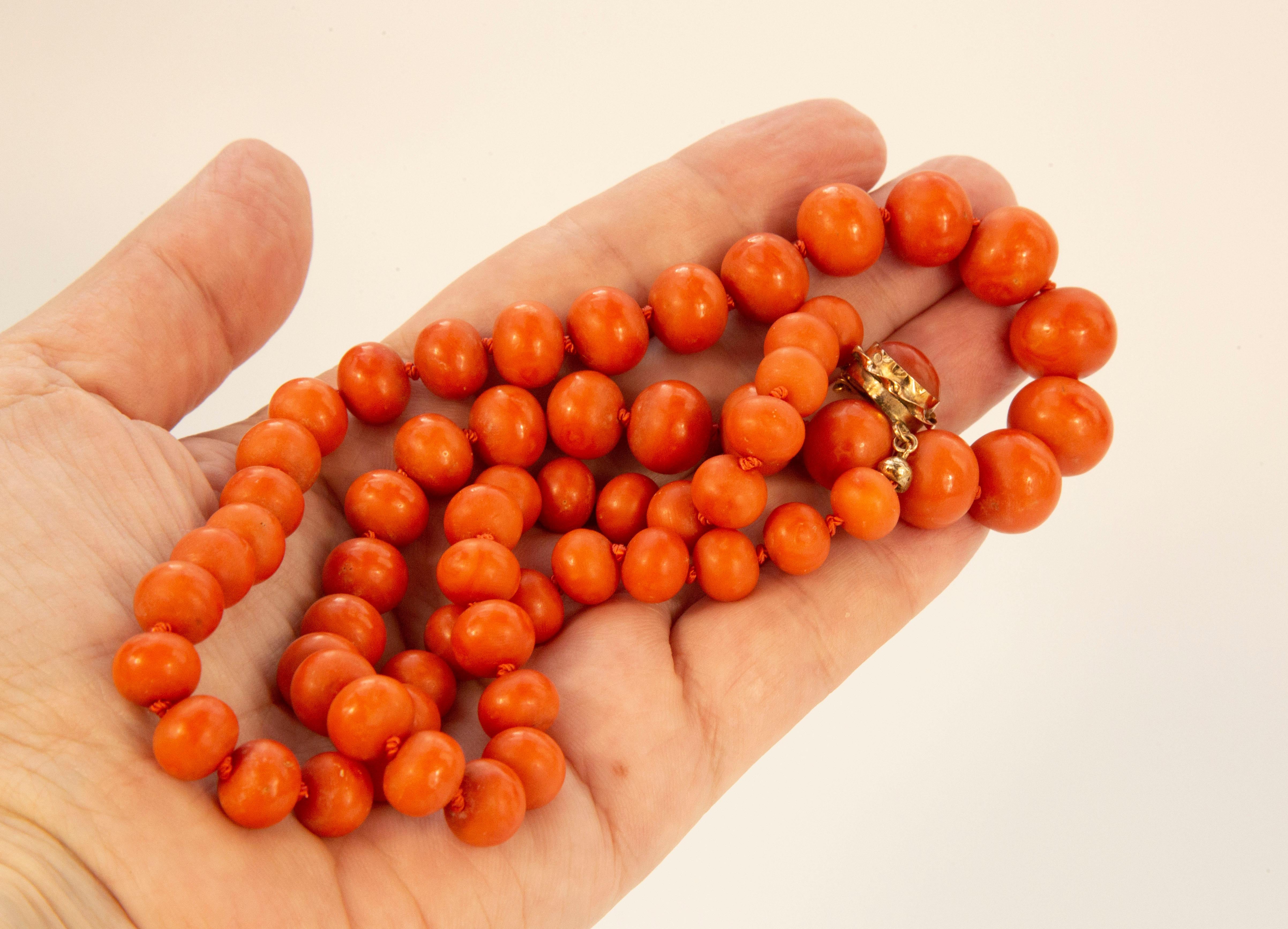 Dutch Antique Single Strand Genuine Red Coral Graduated Beads Necklace  For Sale 3