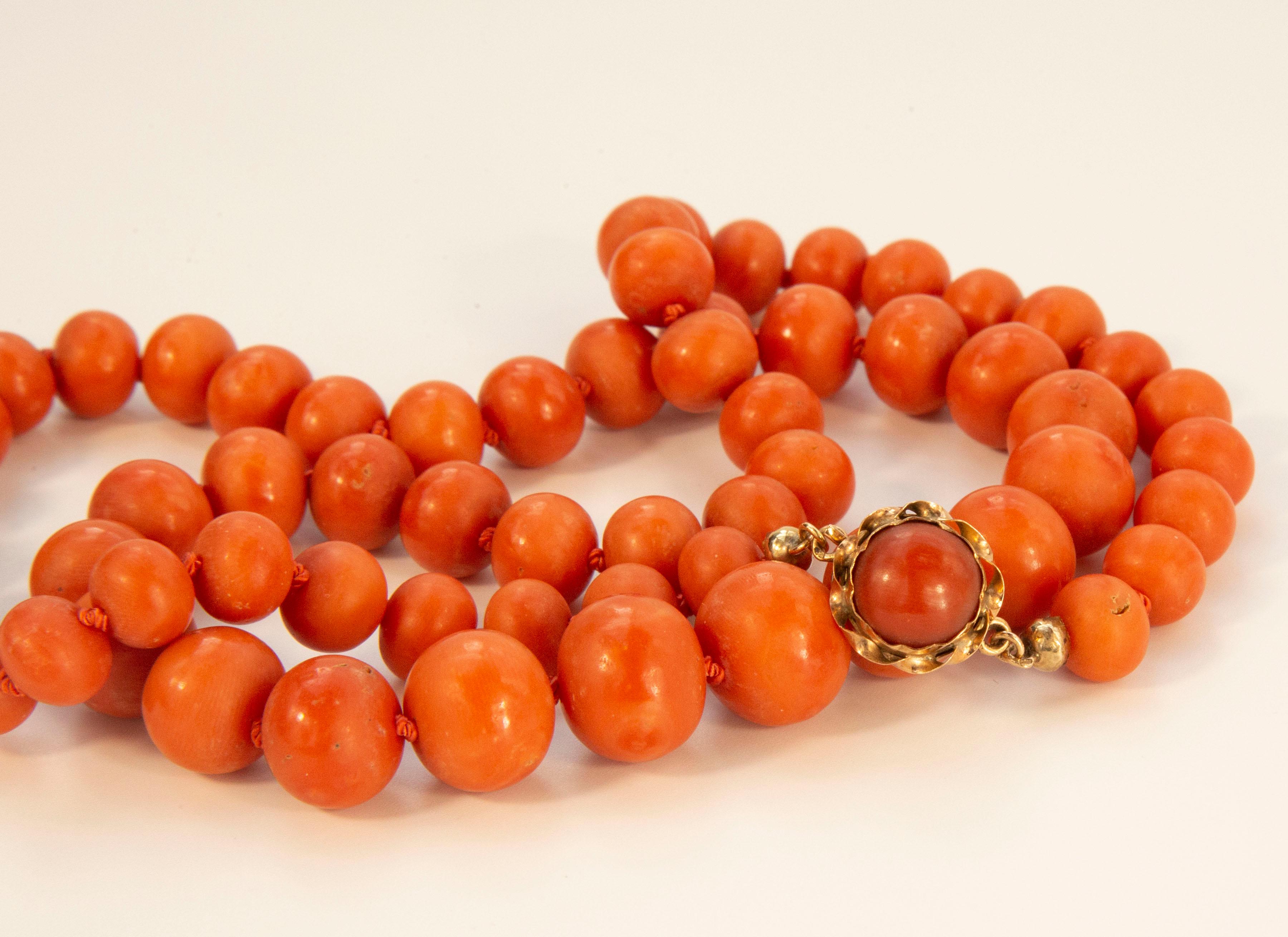 Dutch Antique Single Strand Genuine Red Coral Graduated Beads Necklace  For Sale 1