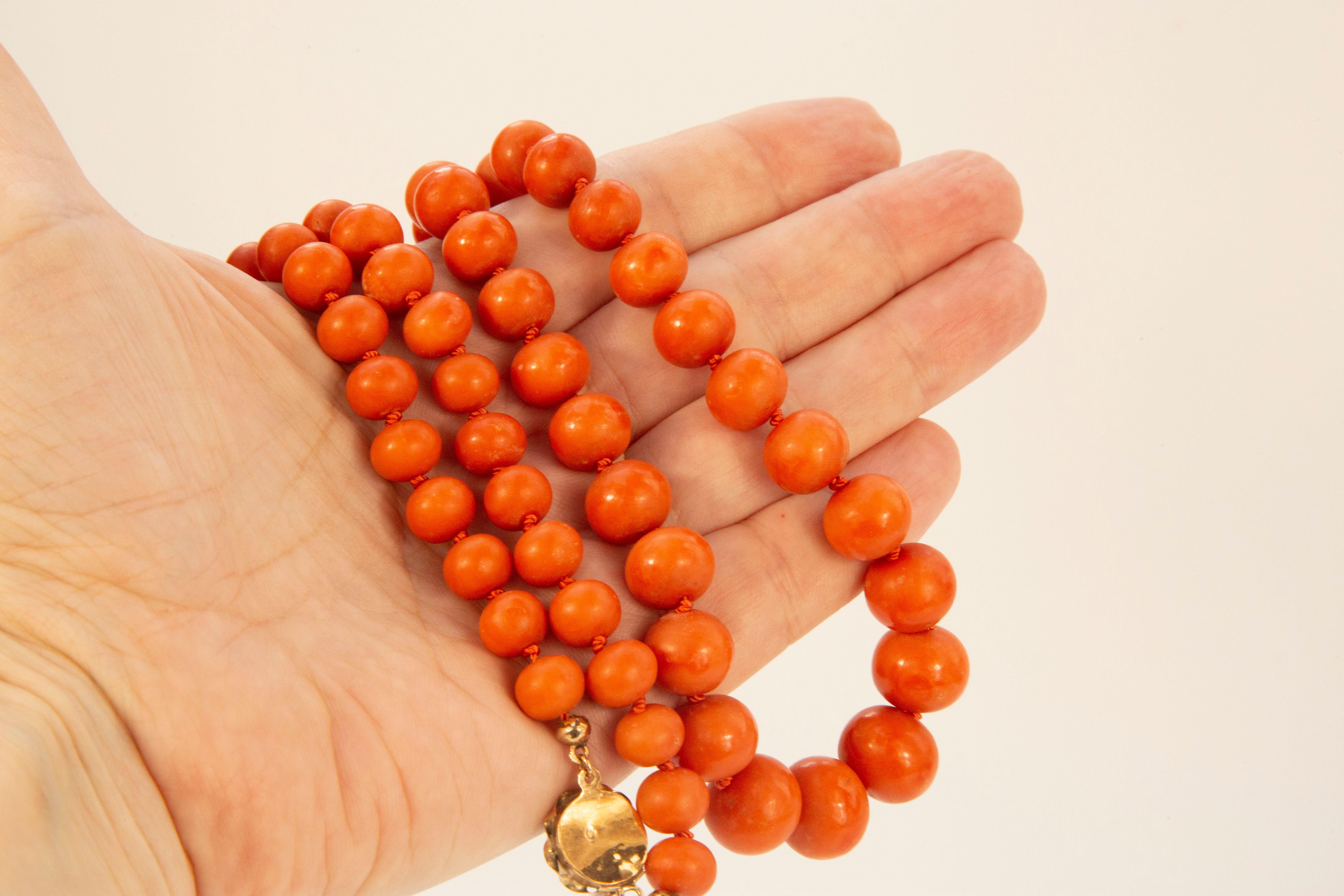 Collier ancien néerlandais à un seul brin de perles graduées de corail rouge véritable  en vente 3