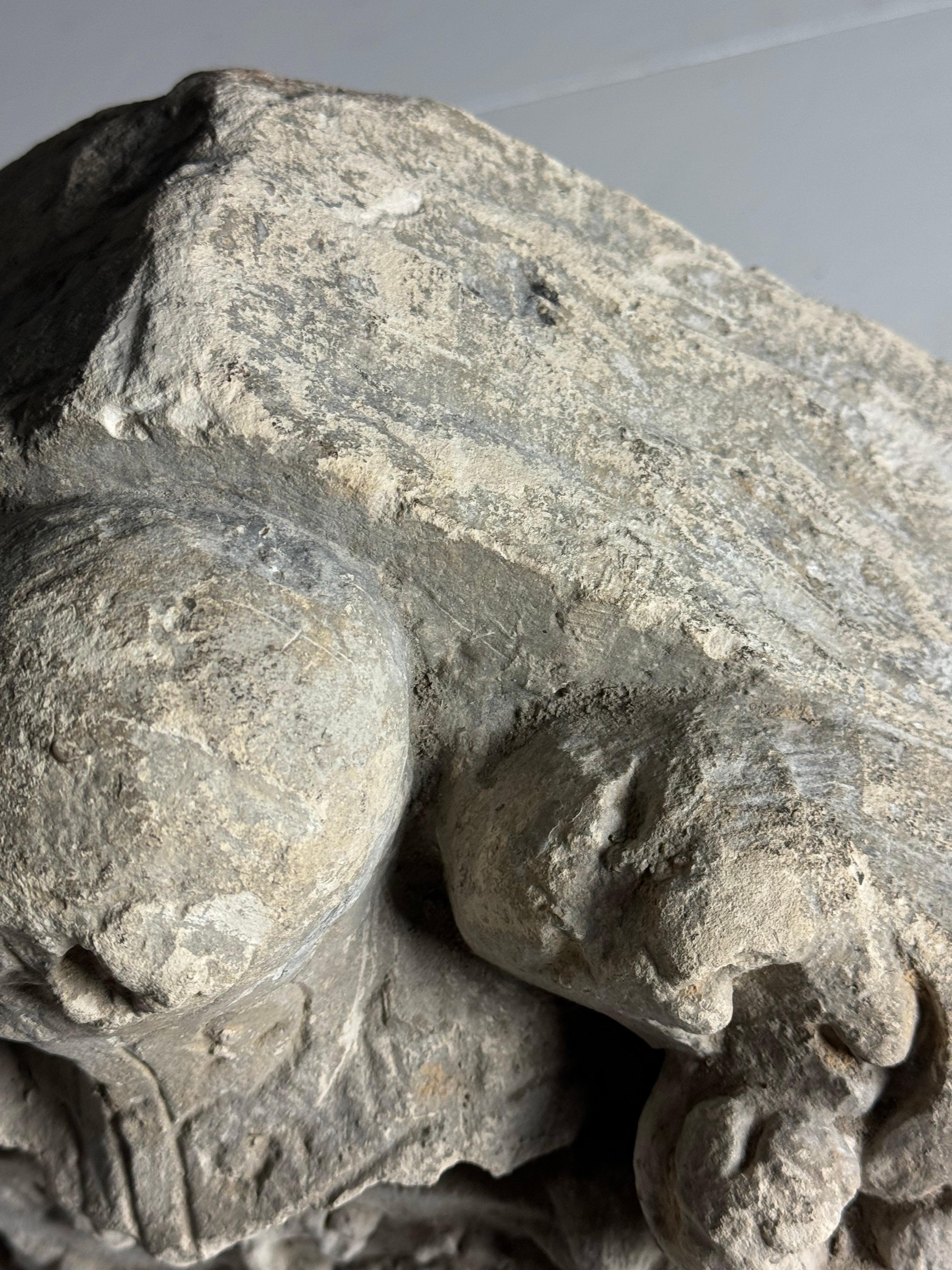 Frammento architettonico olandese in pietra calcarea Stemma in vendita 3