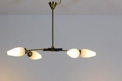 Dutch Brass and Tulip Glass Pendant, 1950s