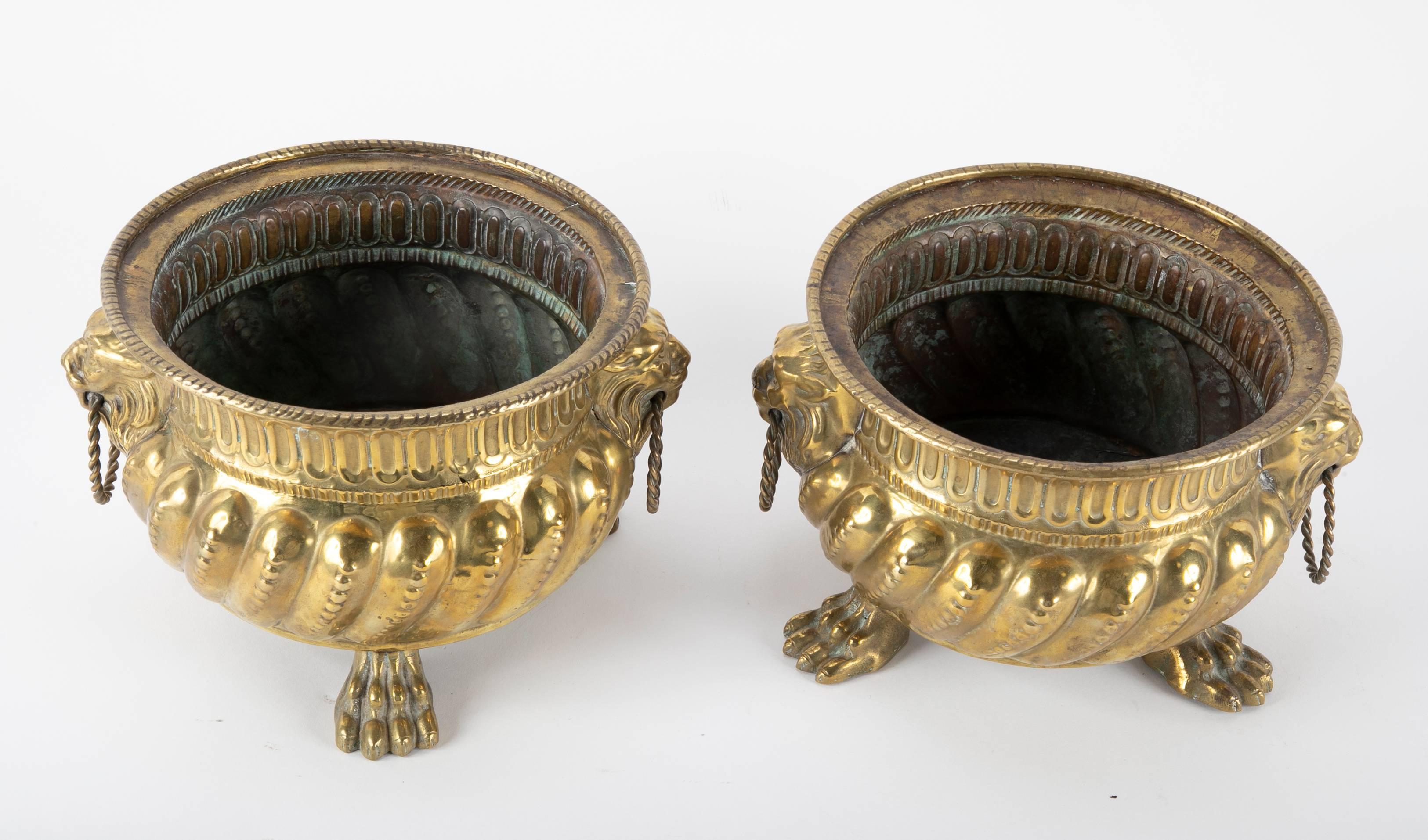 Dutch Brass Cachepots with Lion Head Handles and Paw Feet, a Pair 4