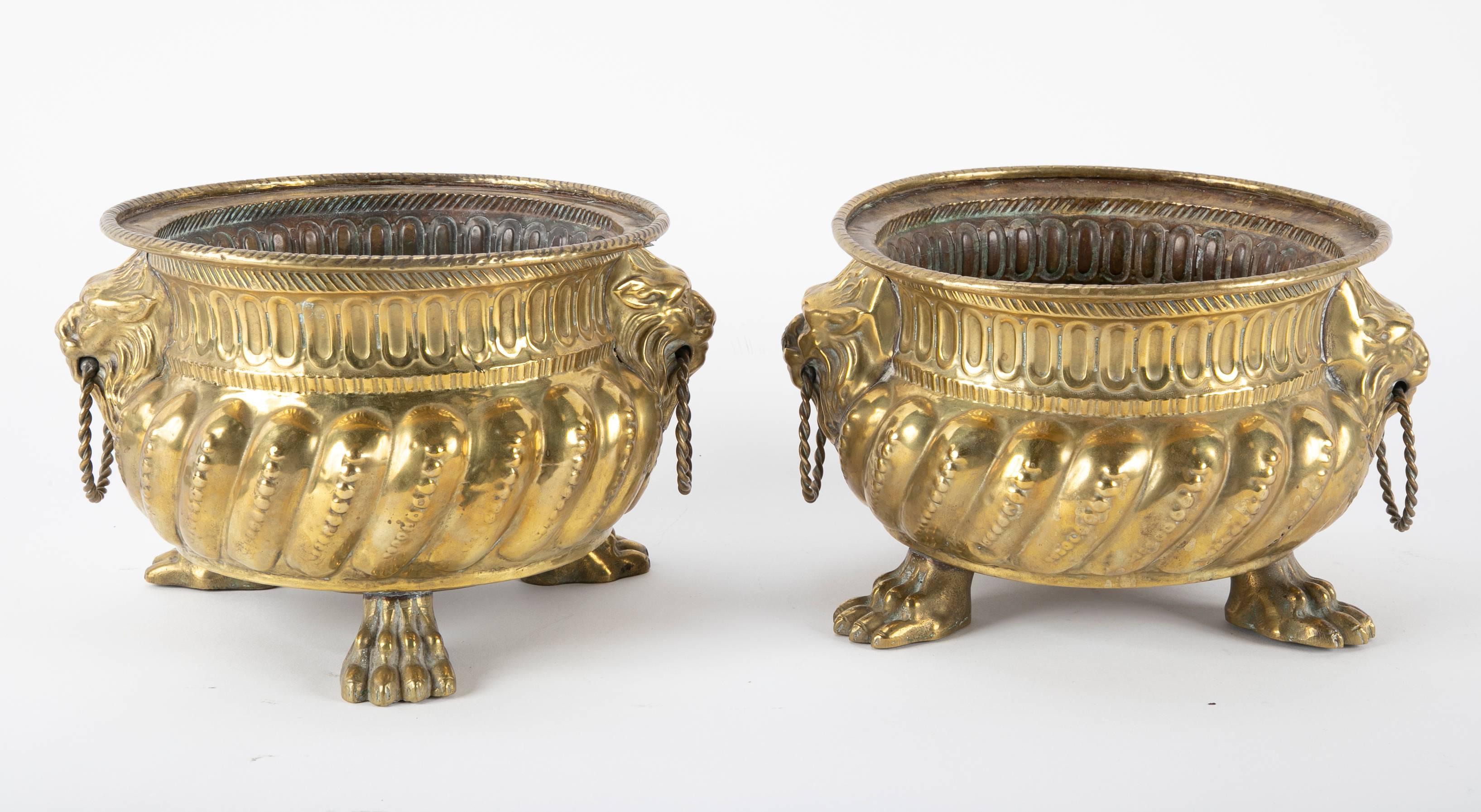 Dutch Brass Cachepots with Lion Head Handles and Paw Feet, a Pair 5