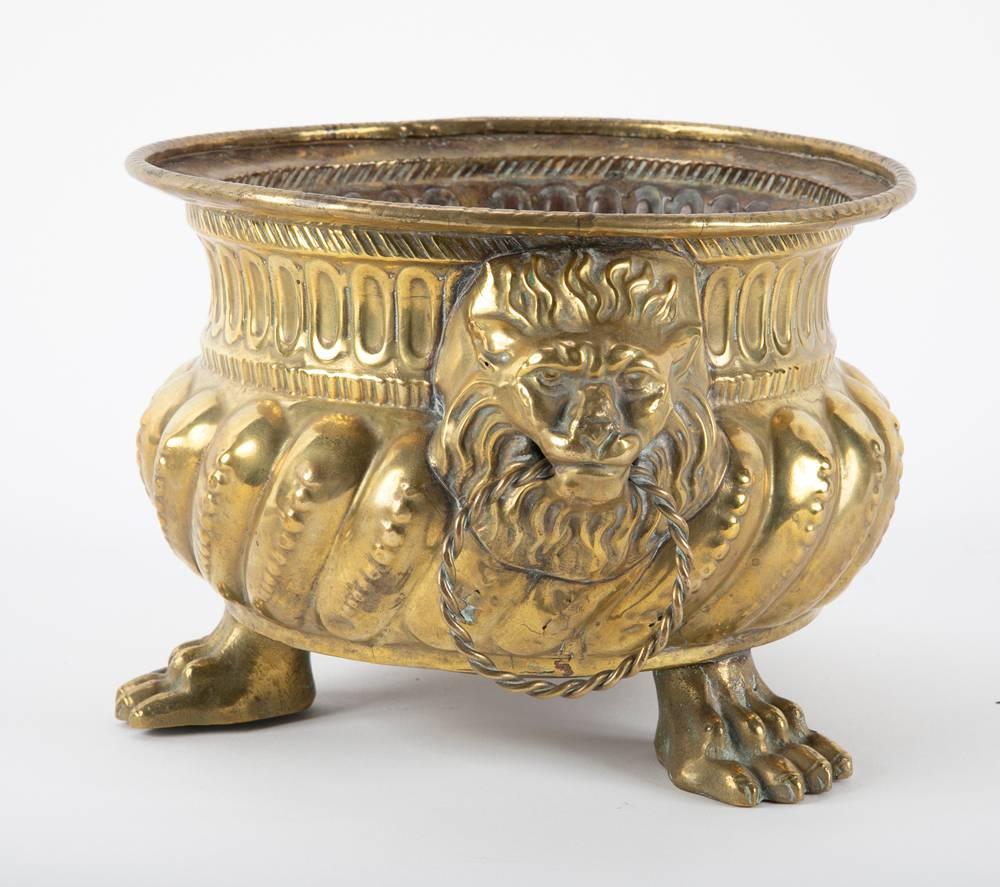 Baroque Dutch Brass Cachepots with Lion Head Handles and Paw Feet, a Pair