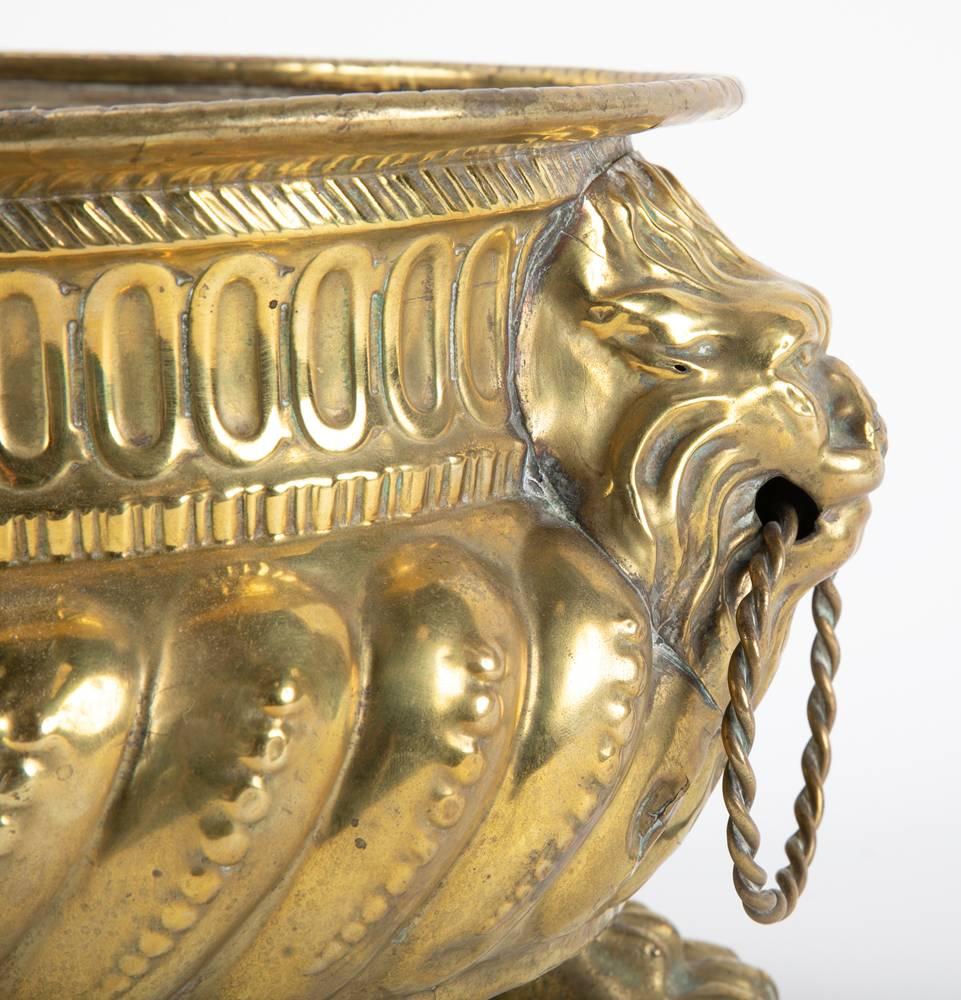 Dutch Brass Cachepots with Lion Head Handles and Paw Feet, a Pair 2