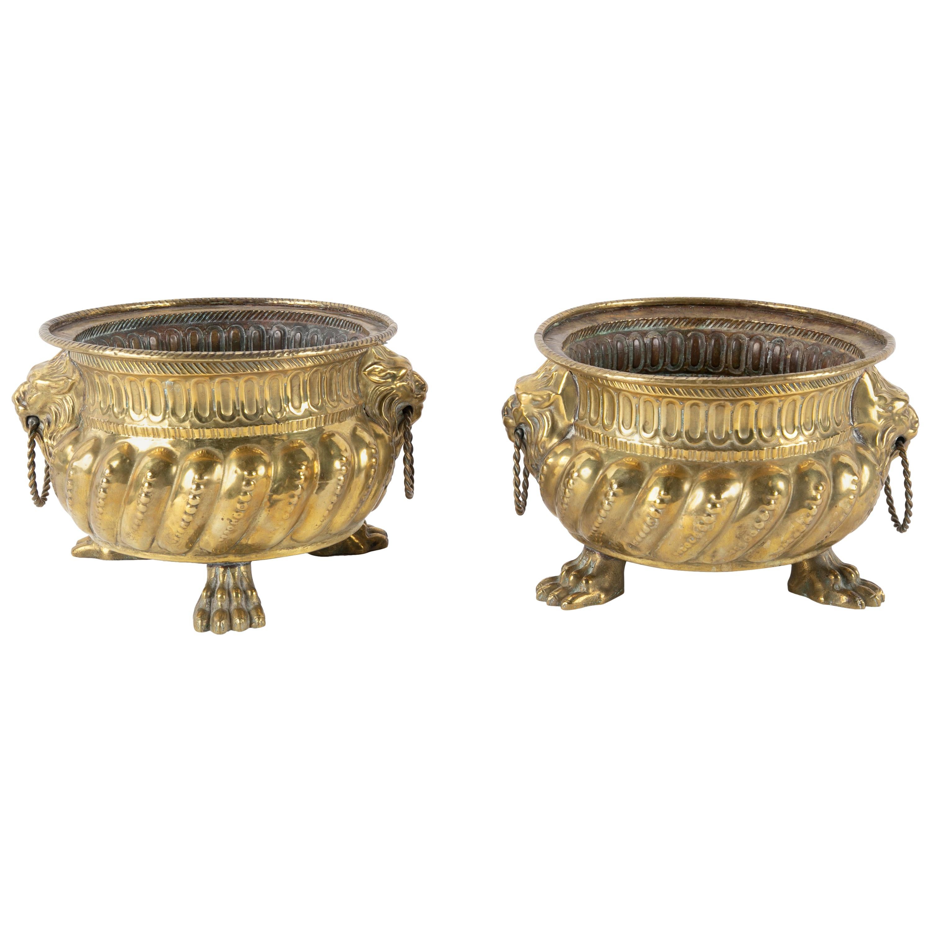 Dutch Brass Cachepots with Lion Head Handles and Paw Feet, a Pair