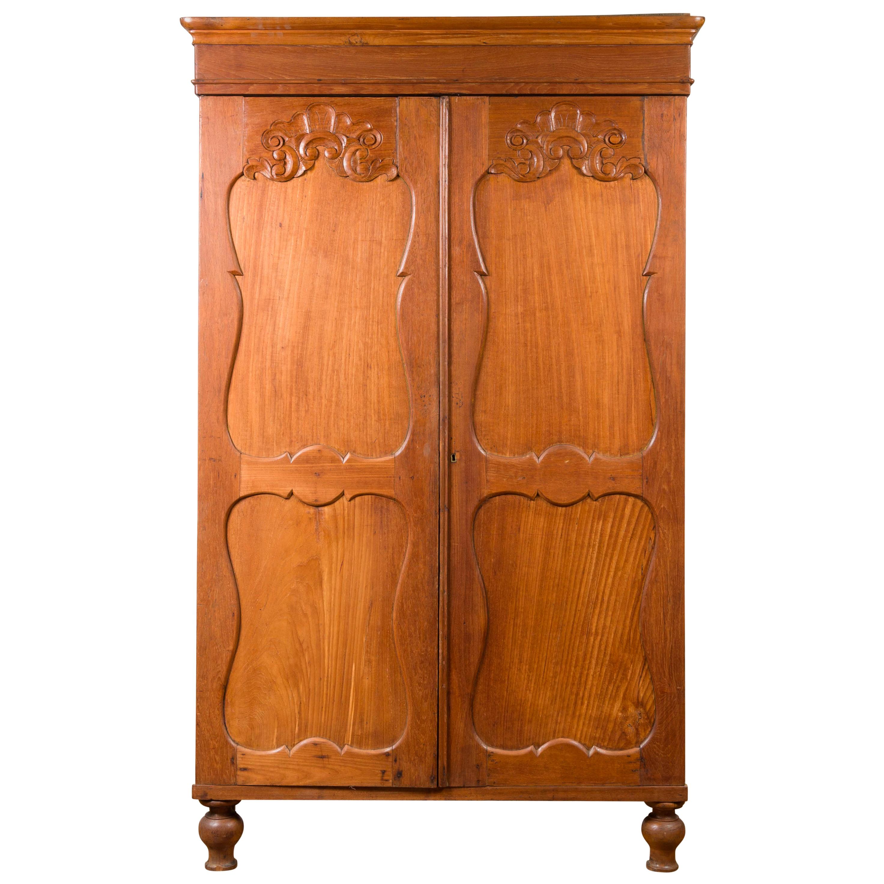 Dutch Colonial 19th Century Teak Wood Cabinet with Carved Panels and Shelves For Sale