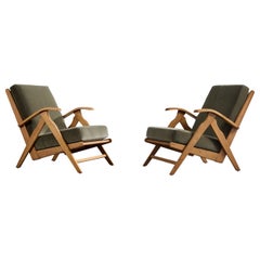 Designer olandese, poltrone da salotto, rovere, velluto, Paesi Bassi, anni '50