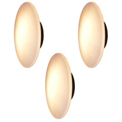 Dutch 'Discuss' Ceiling or Wall Lights by RAAK