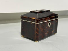 Dutch Dome-Top Tortoiseshell Tea Caddy with Mounts, Circa 1830