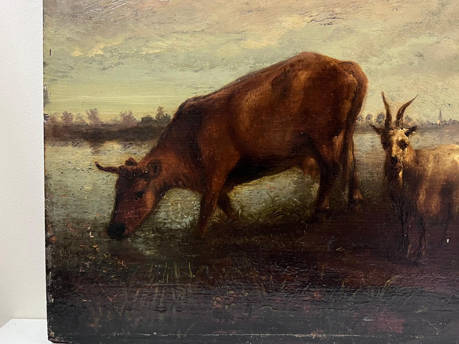 Pregevole dipinto a olio del XVII/XVIII secolo olandese, raffigurante il bestiame al pascolo al tramonto - Painting Antichi maestri di Dutch Golden Age