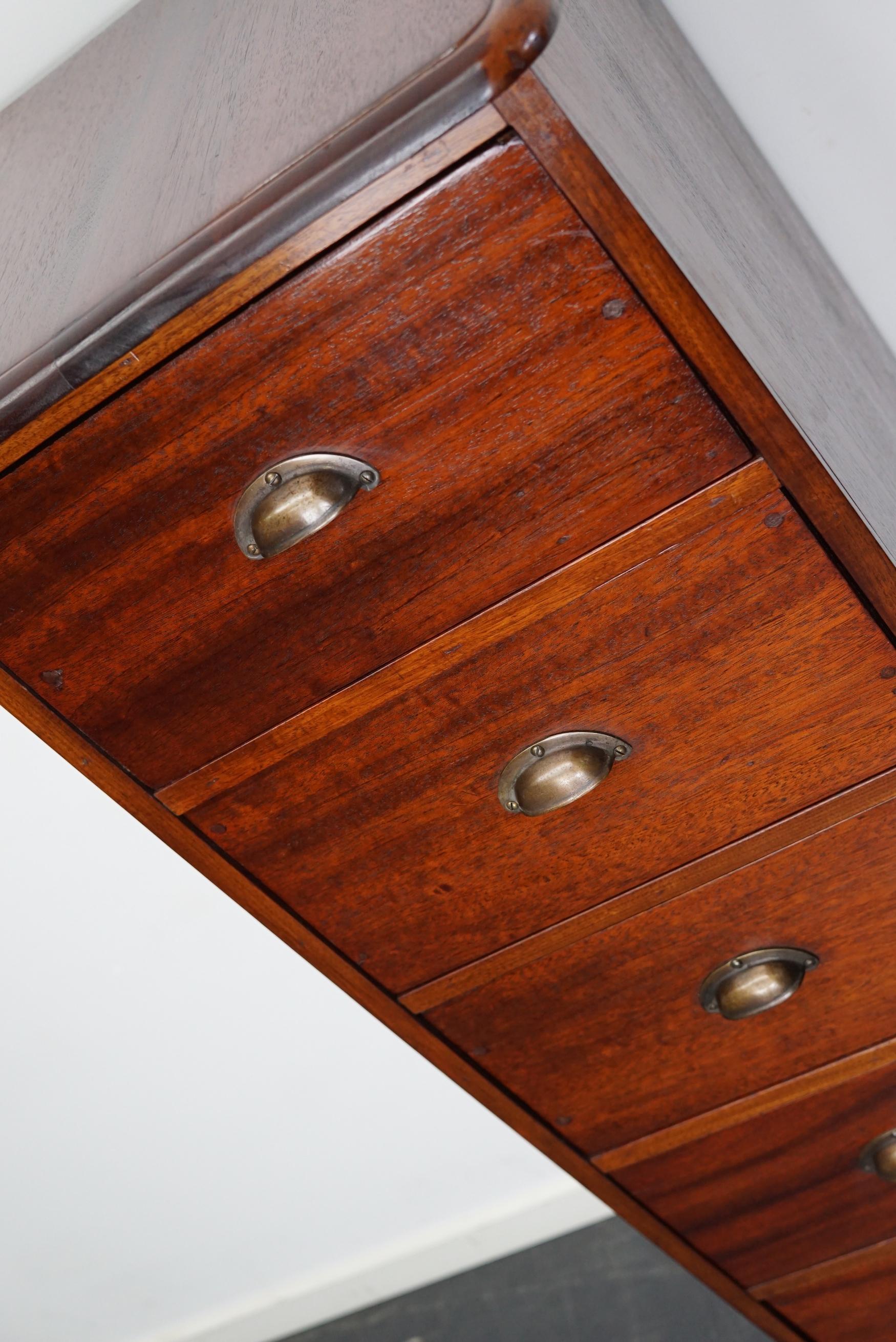 Dutch Industrial Mahogany Apothecary Cabinet, Mid-20th Century In Good Condition For Sale In Nijmegen, NL