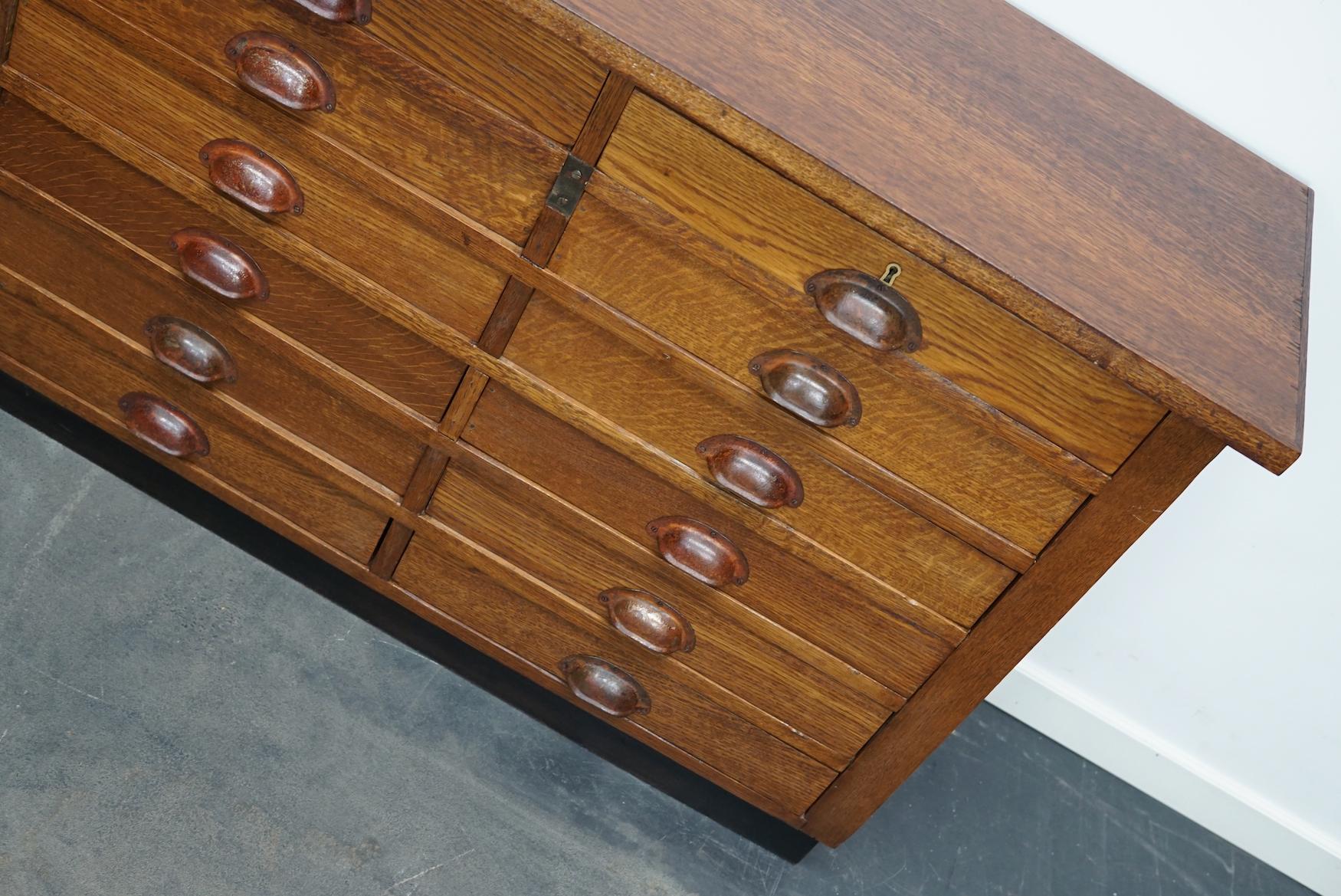 Dutch Industrial Oak Apothecary Cabinet, Mid-20th Century 10