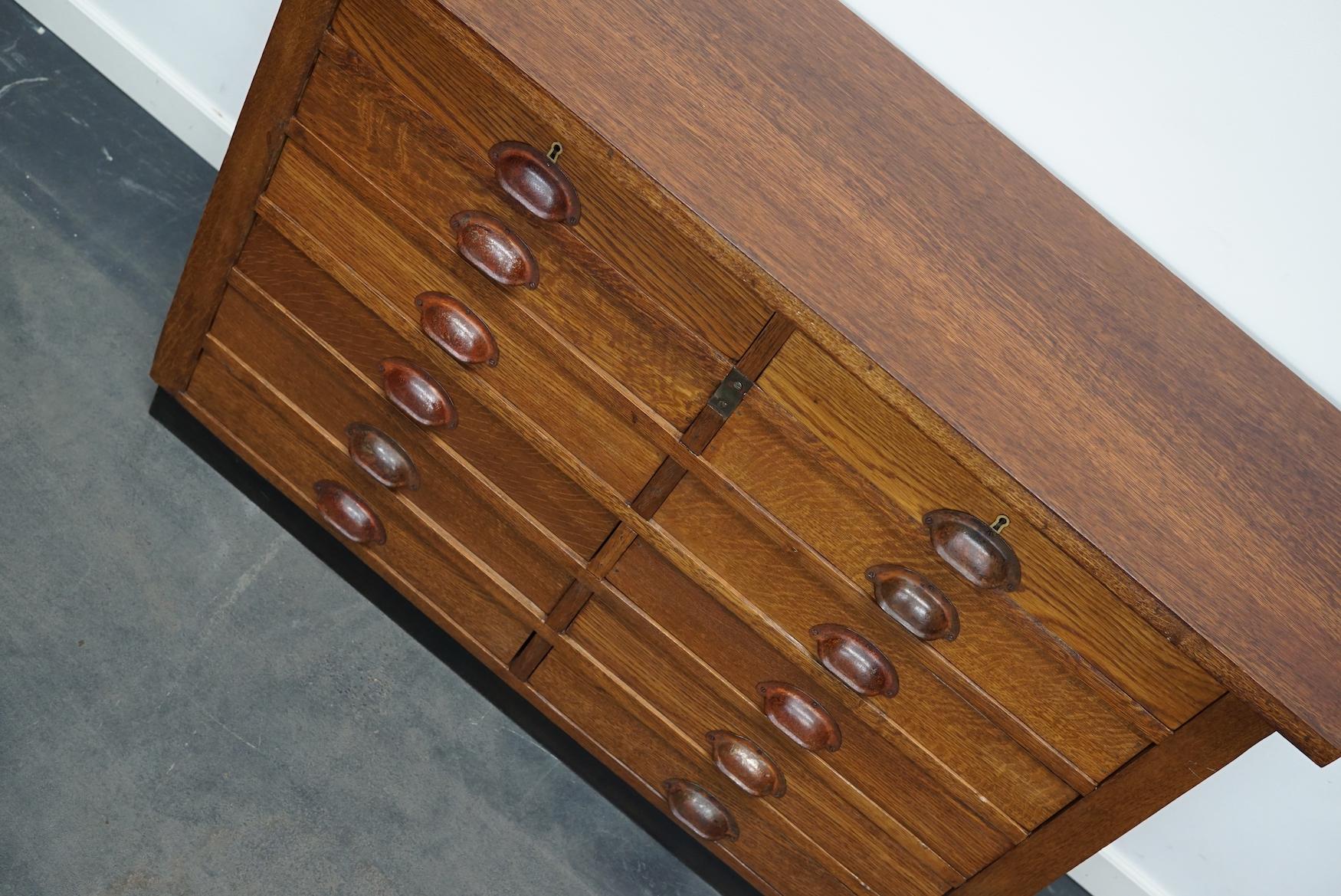 Dutch Industrial Oak Apothecary Cabinet, Mid-20th Century 3