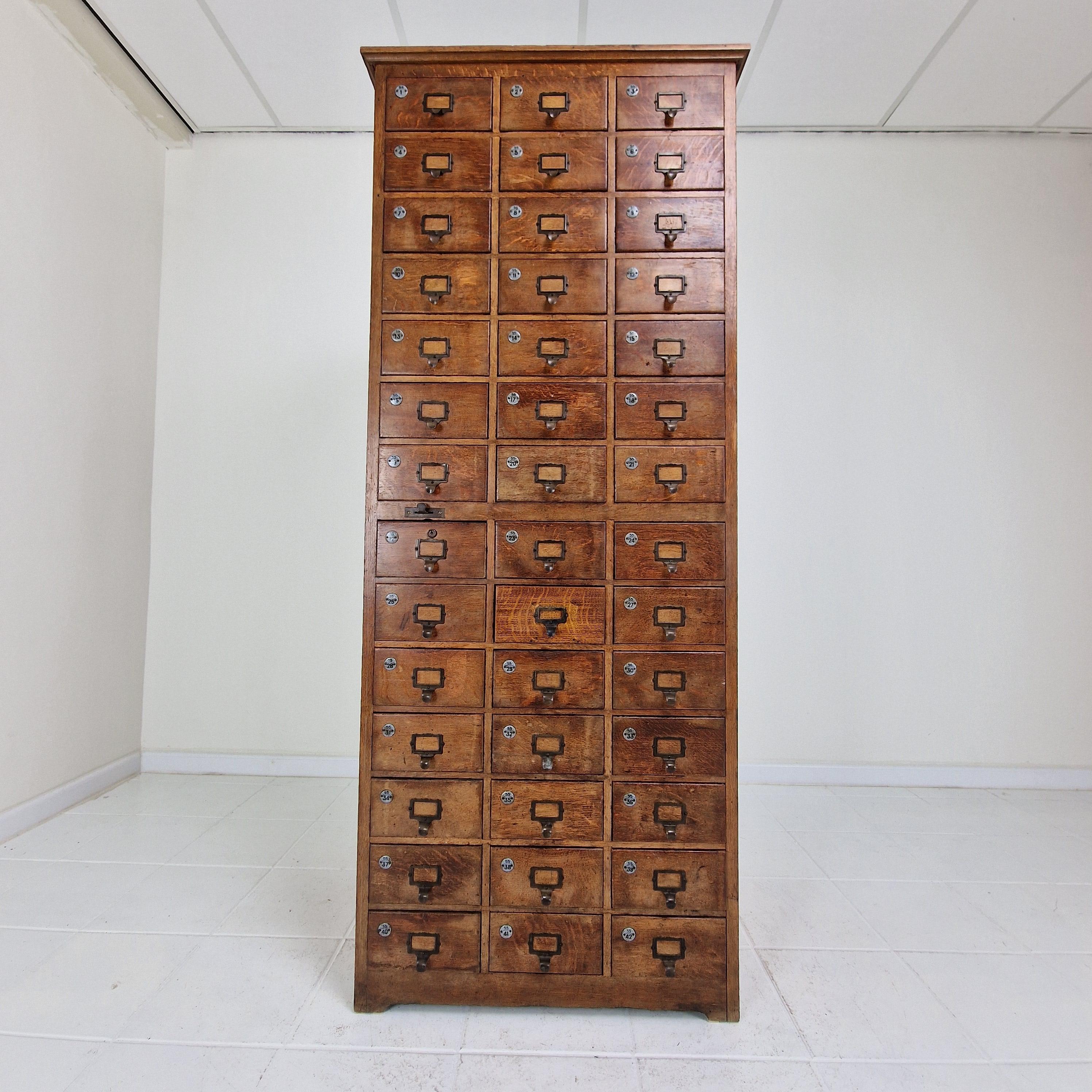 Botiquín o archivador industrial holandés de relleno de roble, principios del siglo XX en venta 1