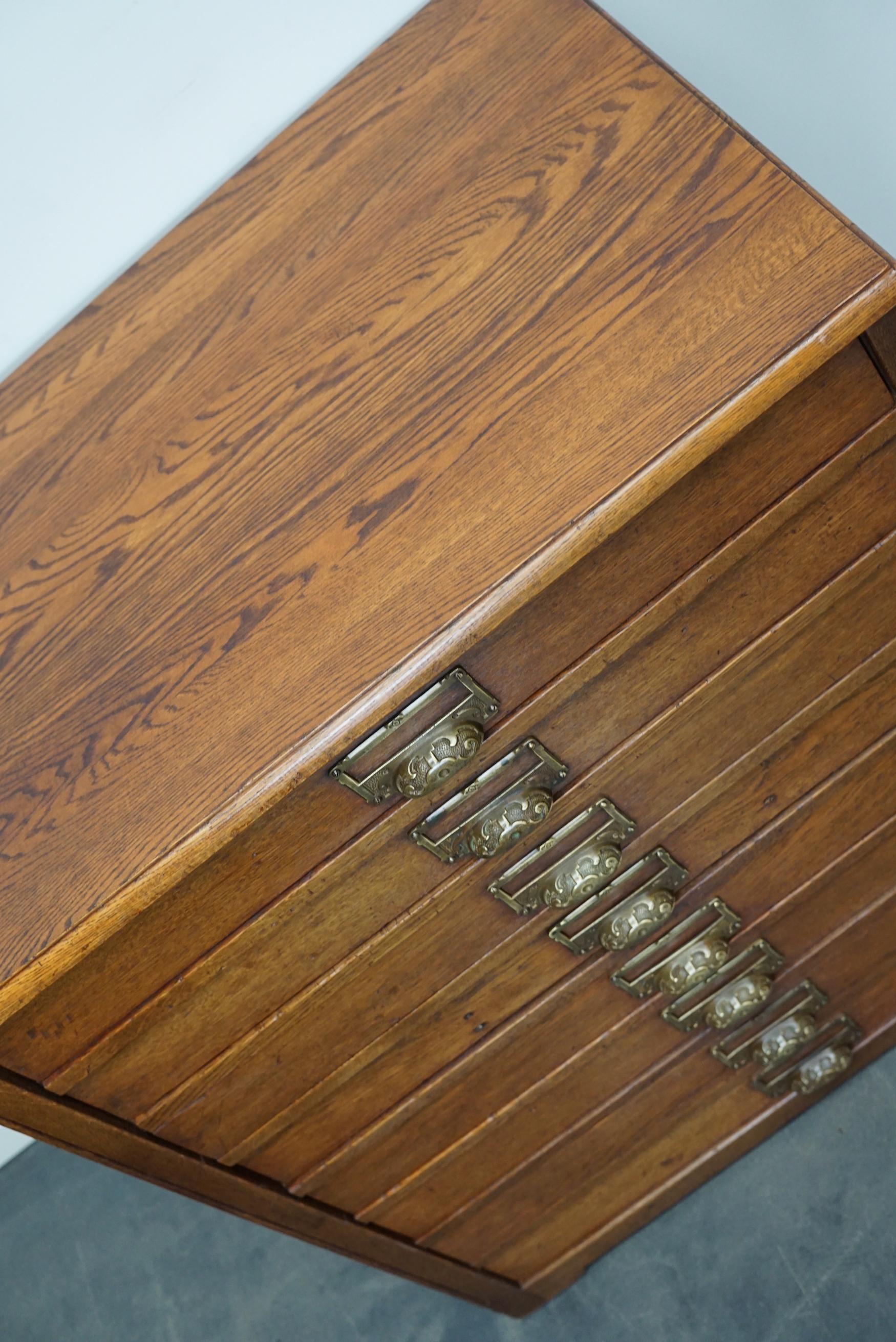 Industrial Dutch Oak Apothecary Cabinet / Plan Chest, Early 20th Century