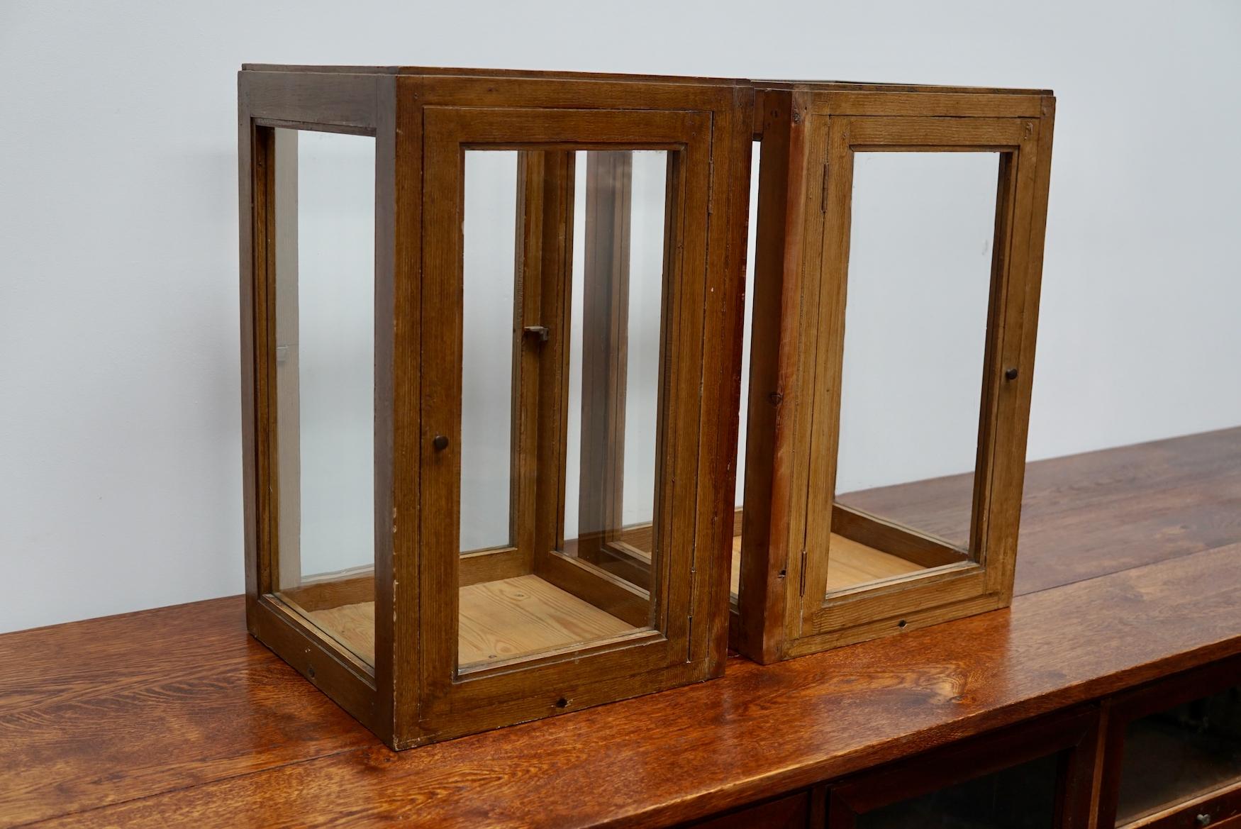 Dutch Pine Pair of Faux Oak Paint Vitrines, Early 20th Century In Good Condition For Sale In Nijmegen, NL