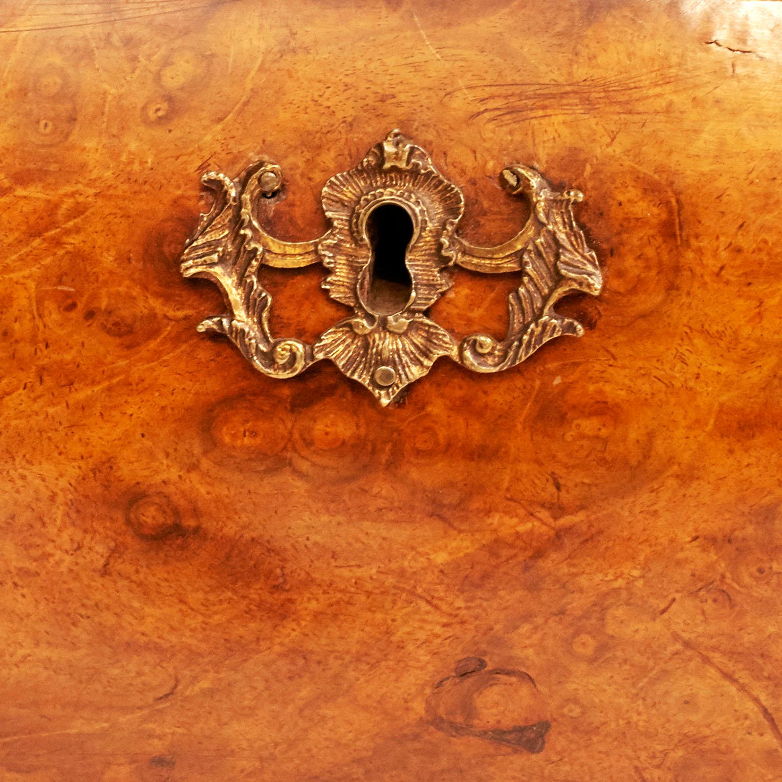 Glass Antique Dutch Rococo Burl Walnut Bookcase Cabinet, circa 1770s For Sale