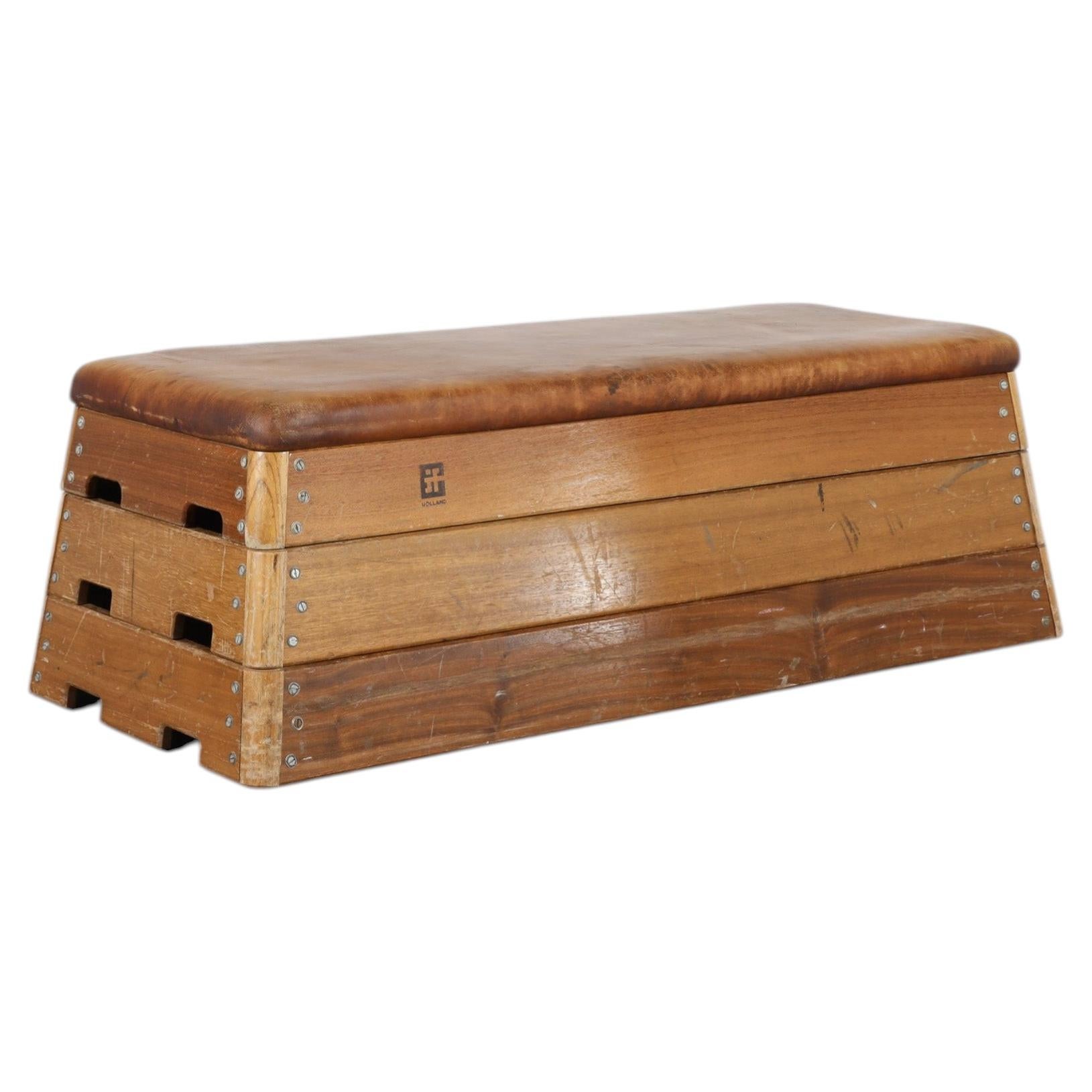 Dutch School Stacking Gymnastics Bench in Oak, Teak and Leather For Sale