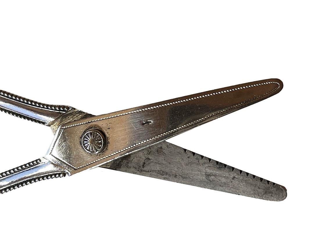 Silver Dutch silver Art Nouveau grape scissors by Kempen & Sons, Voorschoten, ca 1910 For Sale