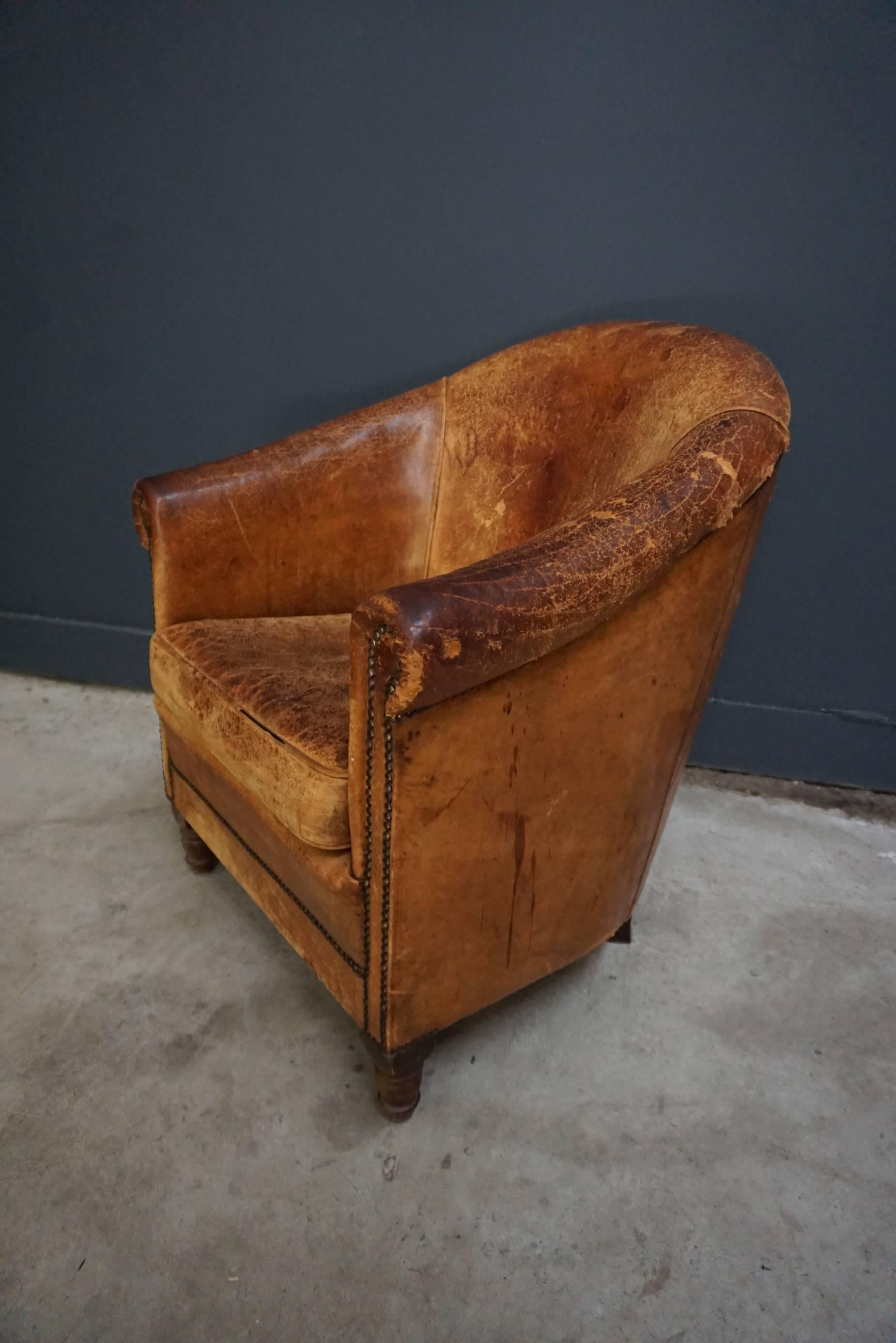 Dutch Vintage Cognac-farbiger Leder-Clubsessel (20. Jahrhundert)