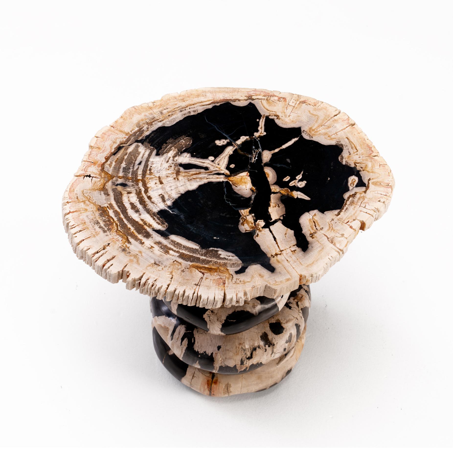 Organic Modern Dwayne Johnson • Sculptural Petrified Wood Side Table by Odditi For Sale