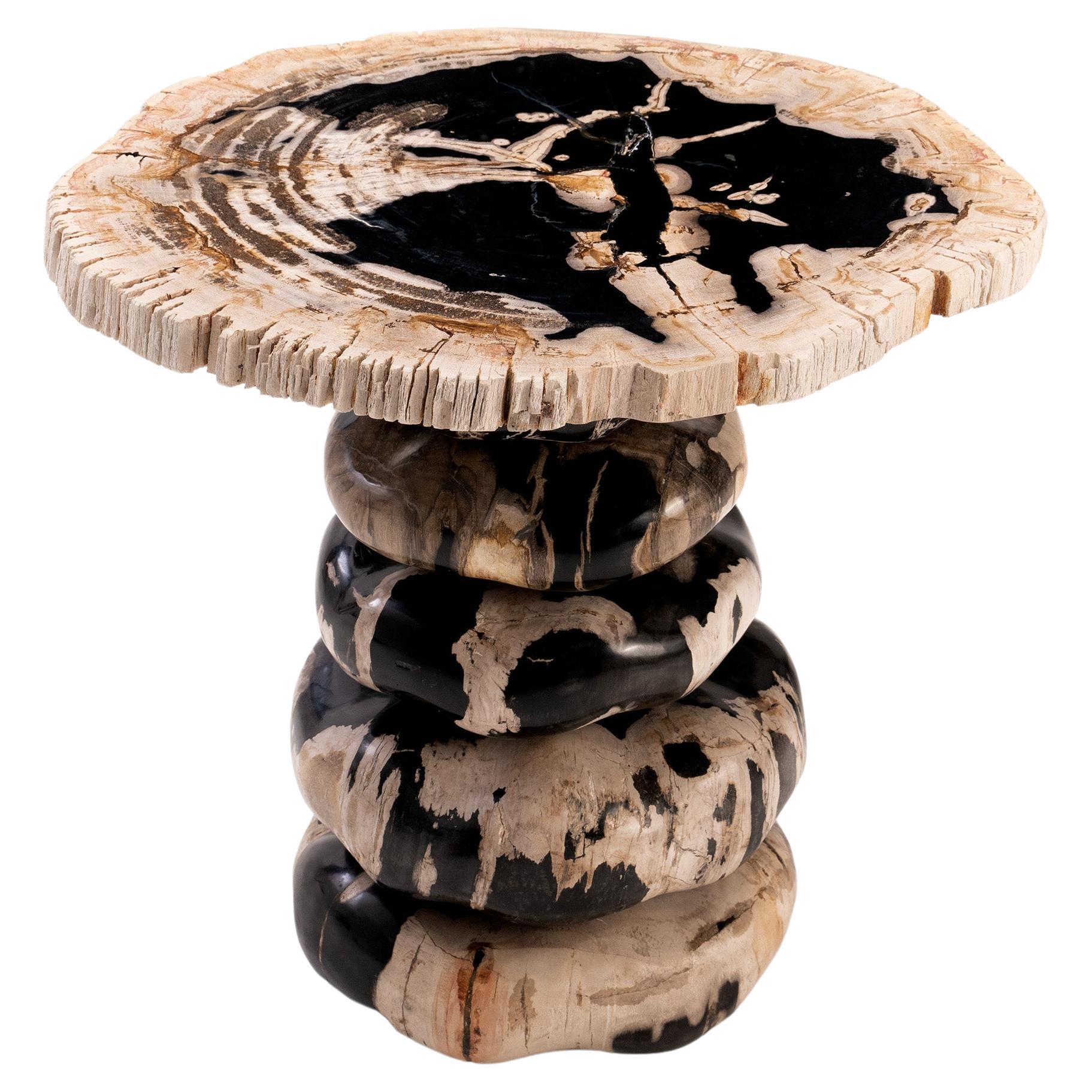 Dwayne Johnson • Sculptural Petrified Wood Side Table by Odditi For Sale