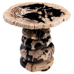 Dwayne Johnson • Sculptural Petrified Wood Side Table by Odditi
