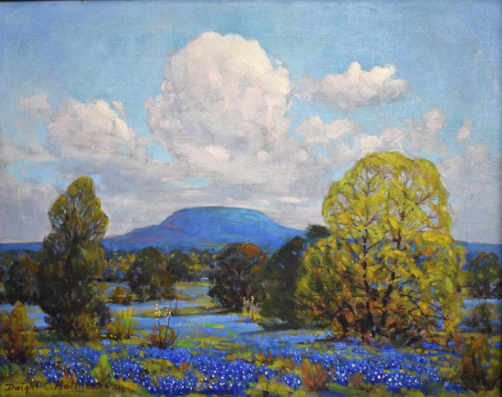 « BluebonNET » #10 OF COMFORT TEXAS Volkenburg Mountain - Painting de Dwight Holmes