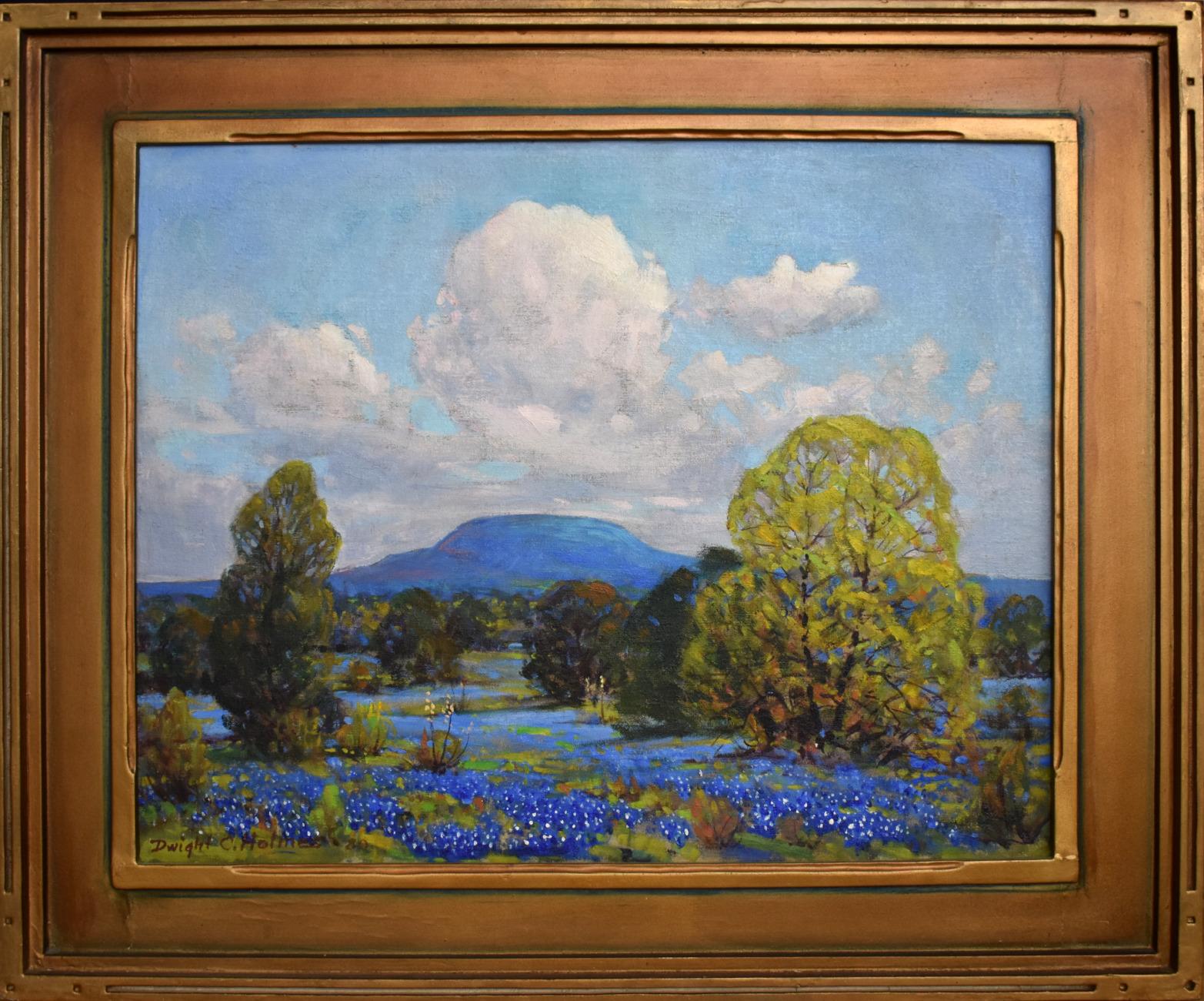 Dwight Holmes Landscape Painting - "BLUEBONNET" #10 OF COMFORT TEXAS Volkenburg Mountain