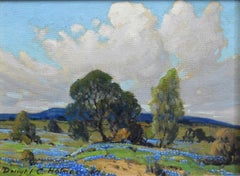 "BLUEBONNETS WEST OF COPPERAS COVE TEXAS"