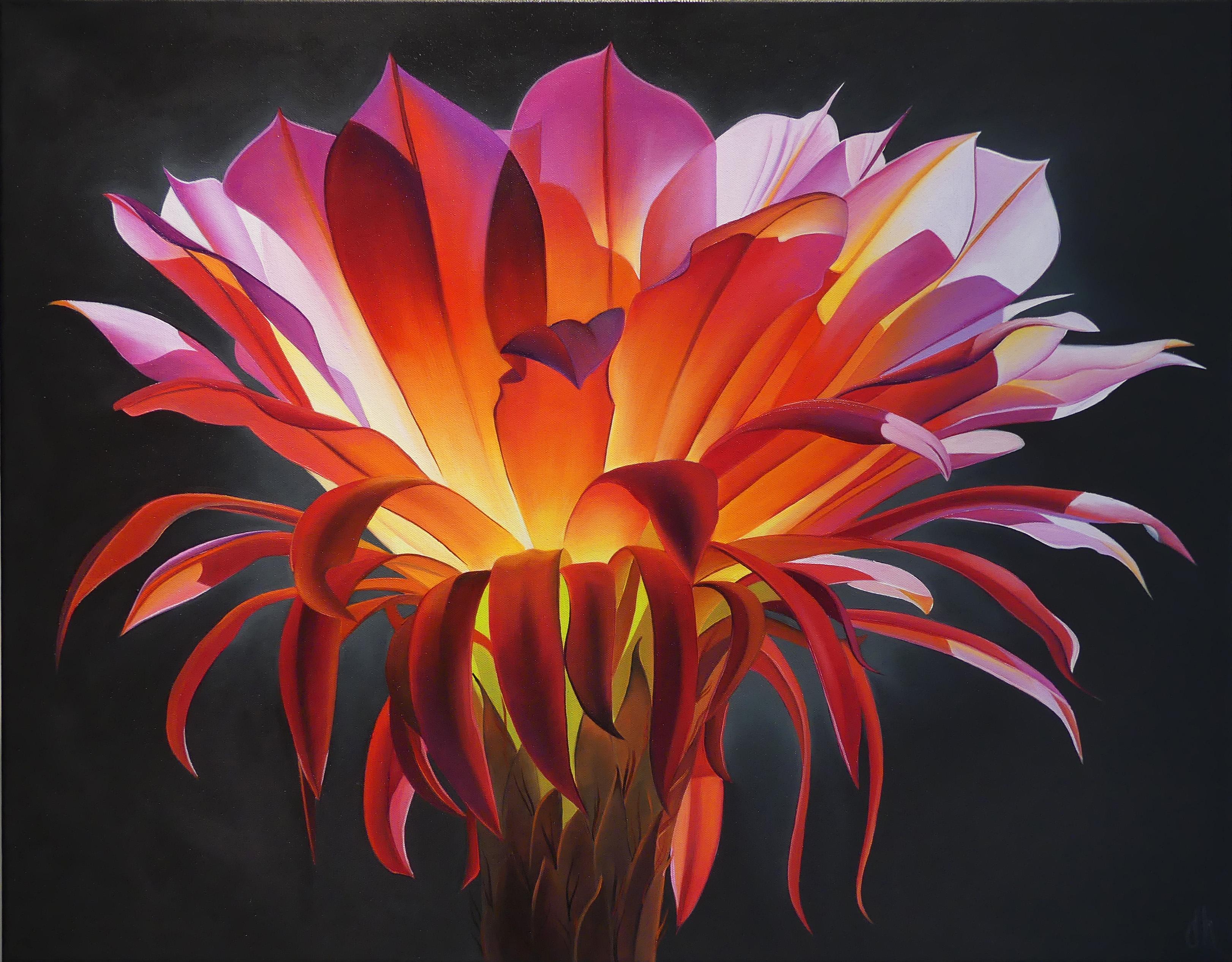 "Amber Light" Echinopsis Bloom, Home, Arizona - Painting by Dyana Hesson
