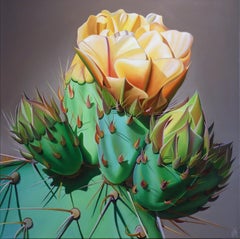 "Arizona Gold, Prickly Pear Bloom and Bud, Desert Botanical Garden"