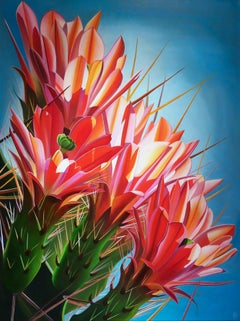 "Hedgehog Cactus, Desert Botanical Garden"