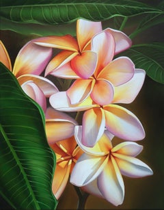 "Hidden Treasure" Plumeria, Kohala Coast, Hawaii