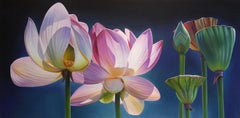“Joy, Lotus, Blooms and Buds”