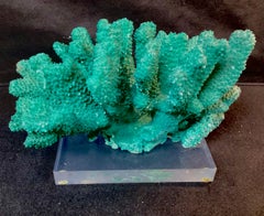 Dyed Green Coral Reef Specimen On Lucite Base