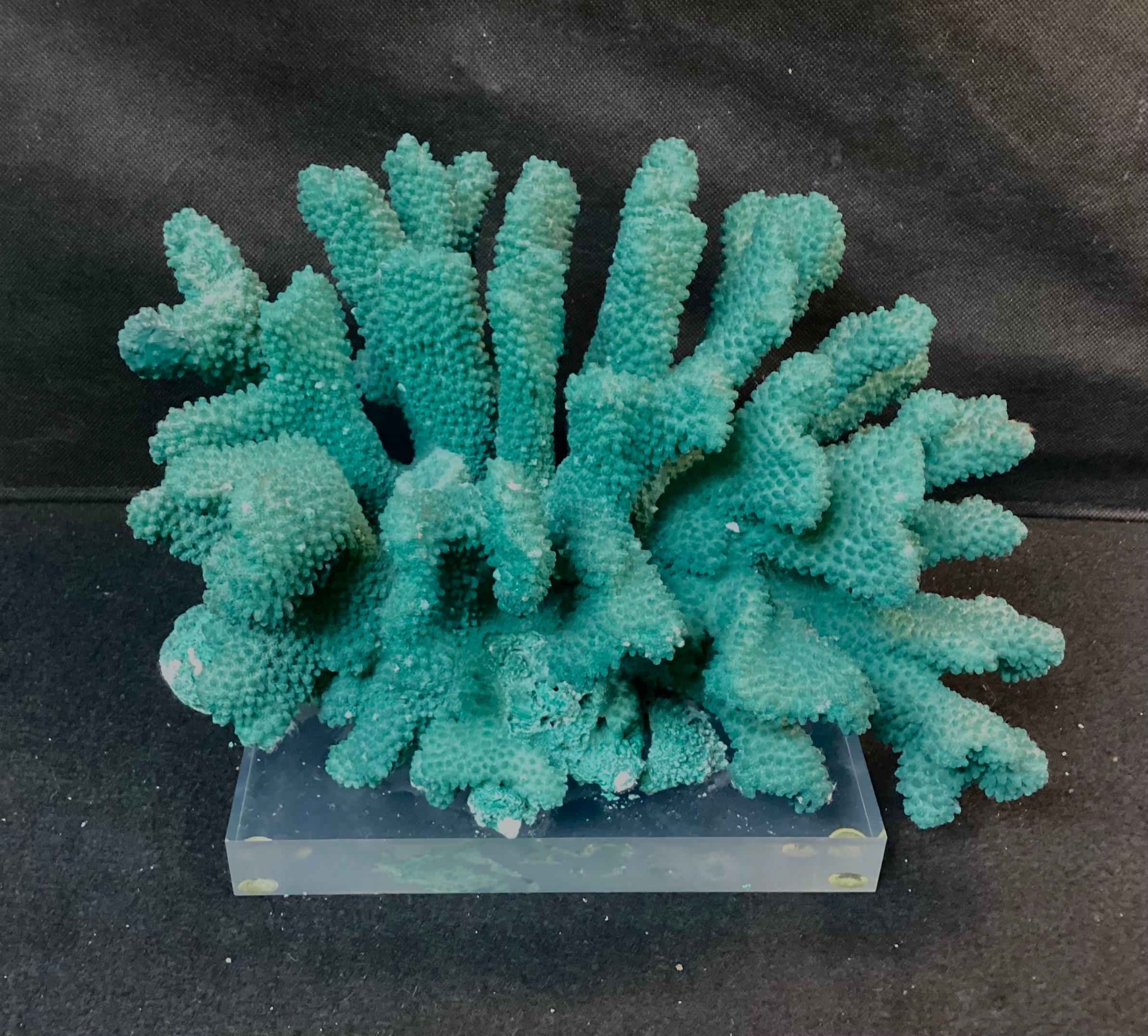 Organic Modern Dyed Green Coral Reef Specimen On Lucite Base