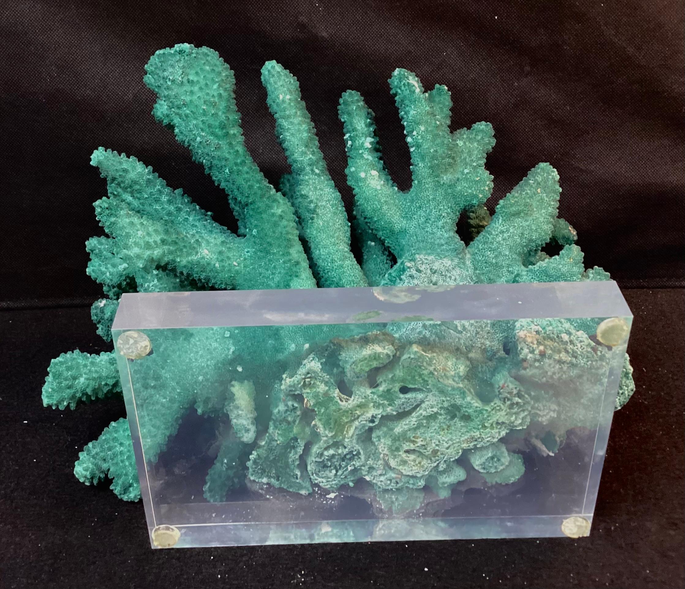 20th Century Dyed Green Coral Reef Specimen On Lucite Base