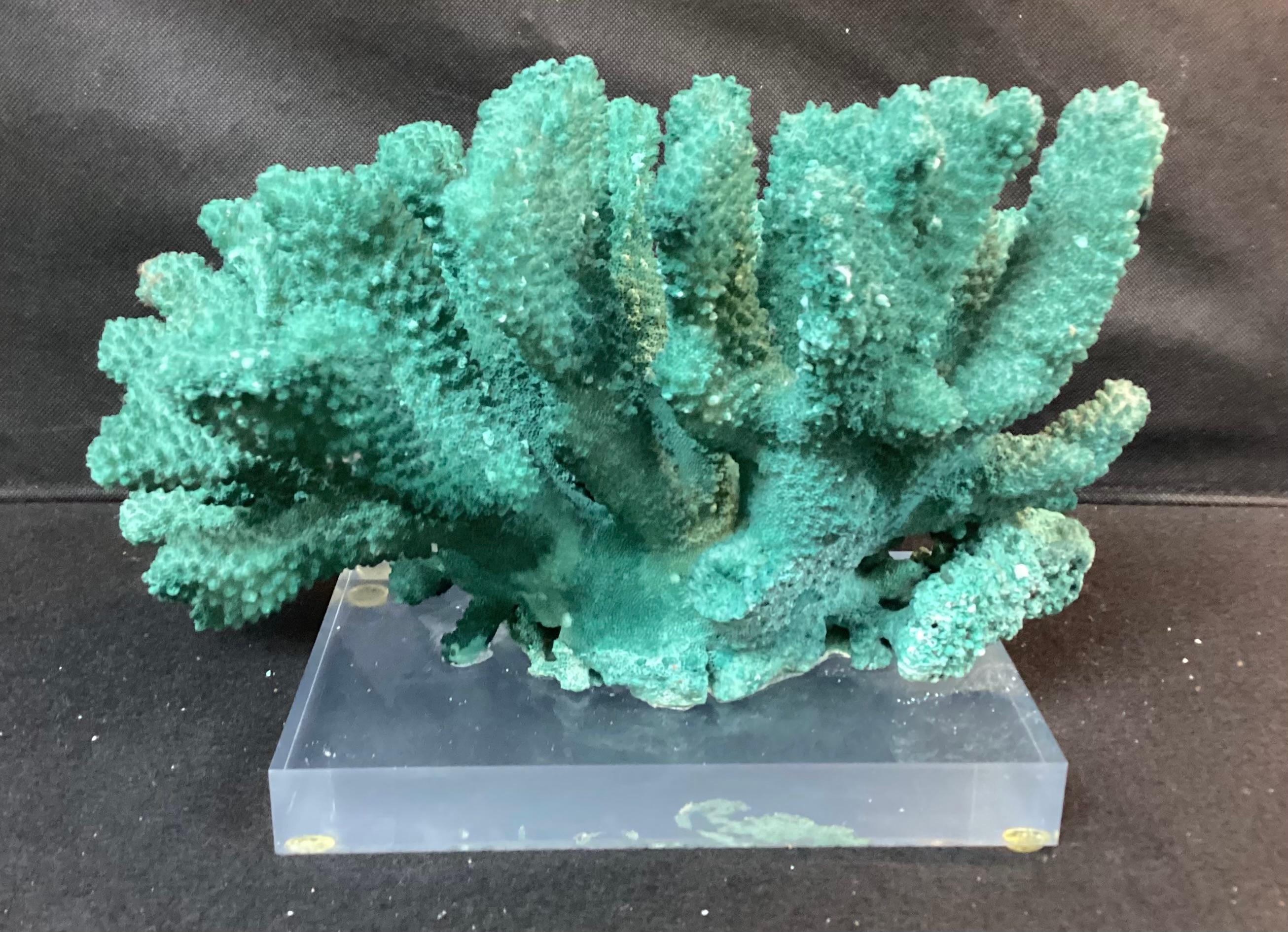 Dyed Green Coral Reef Specimen On Lucite Base 1