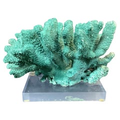 Antique Dyed Green Coral Reef Specimen On Lucite Base
