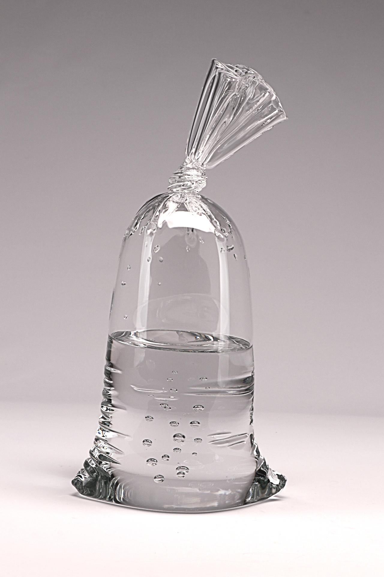 Dylan Martinez Still-Life Sculpture - Glass Water Bag #1932